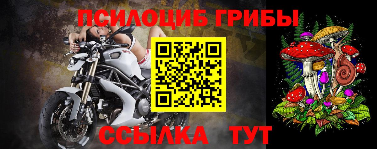 Городец  Галлюциногенные грибы мицелий  Вход с VPN  Галлюциногенные грибы Psilocybine cubensis 