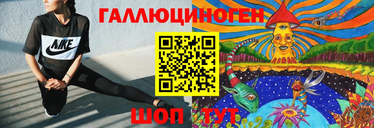 Галлюциногенные грибы Psilocybe Городец